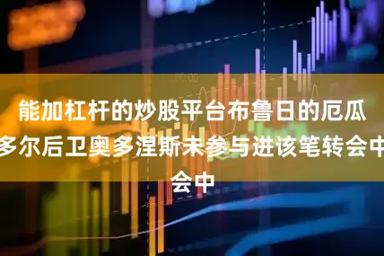 能加杠杆的炒股平台布鲁日的厄瓜多尔后卫奥多涅斯未参与进该笔转会中