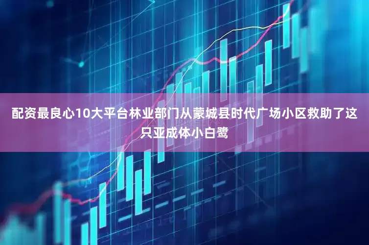 配资最良心10大平台林业部门从蒙城县时代广场小区救助了这只亚成体小白鹭